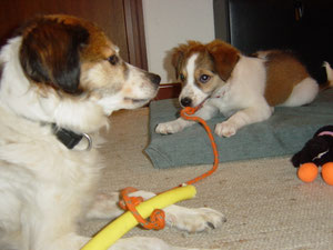 Spielen mit Derlin