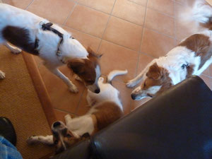 Mama Anice, Acon und Ayleen
