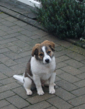 Sylvestermorgen