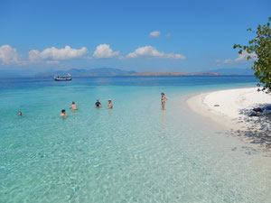 Gruppo gecoverde in acqua a Kemplong island