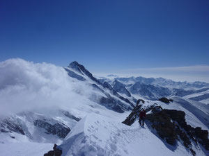 Hinter Fiescherhorn, Jungfraugebiet, Finsteraarhorn, Skitouren, Schweiz