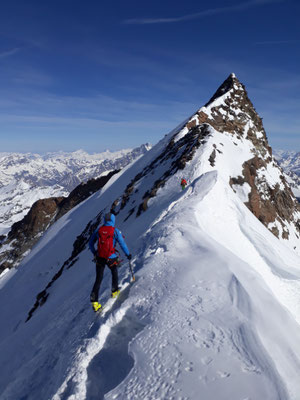 Gipfelanstieg, Nordend, Skihochtour, Monterosa