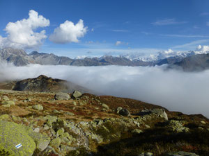 Salbit Südgrat, Tagestour
