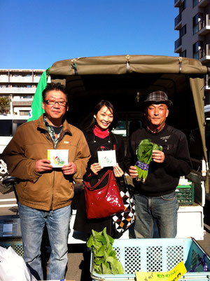 船橋　東武　小松菜　通販　野菜