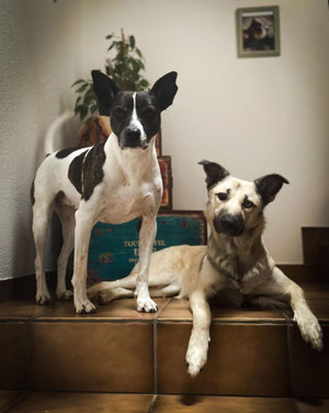  Joy & Nova