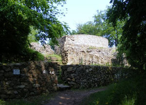 Burgruine Tannenberg