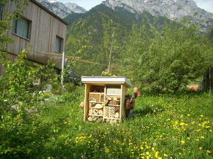 Insektenhotel in freier Natur