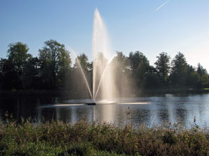 Vielbecker See Foto: Janet Jankowski