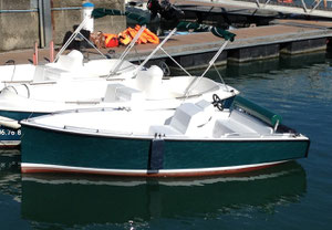 Le SENSAS de Ruban Vert, bateau électrique, nouveauté 2014!
