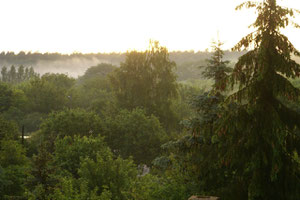 Blick aus dem Fenster in Richtung Heidesee und Dölauer Heide