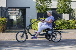 Van Raam Easy Rider Dreirad für Erwachsene und Senioren