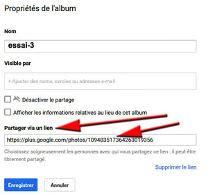 Propriétés de l'album Picasa