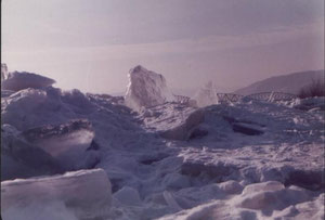 Eisstoß Jänner 1985