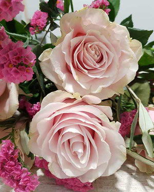 ecuador roses in pink for delivery