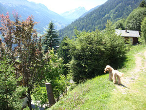 Haute Nendaz