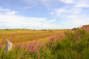 Aubrac, entre Lozère et Aveyron