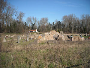 "Clos Ter Duinen" : enherbement abondant des girades (Flandre Occidentale, Belgique)