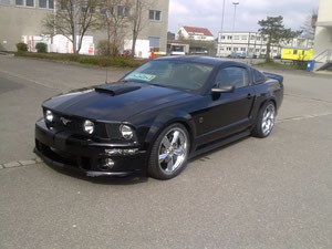 Mustang