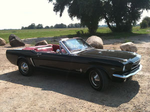 Mustang