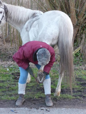 NATUR'A CHEVAL