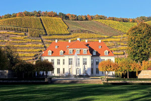 Schloss Wackerbarth um 1730 erbaut vor den Weinbergen der Lößnitz