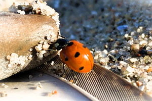 Mit Herausforderungen umgehen – oder sie aktiv als Gestaltungsspielraum nutzen? Sie entscheiden!