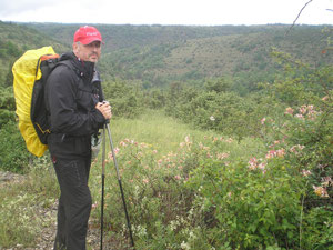 Mas de vers, Poudally, gr65, compostelle