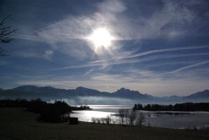 Forggensee