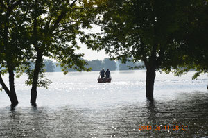 Hochwasser 2013 Barby Saale 