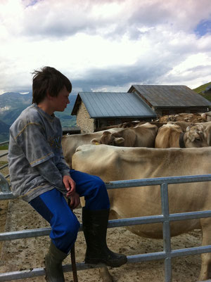 Alp Stavons (GR): gesunde Landwirtschaft
