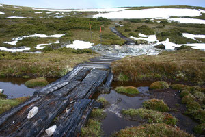 Altschnee auf dem Cradle Plateau