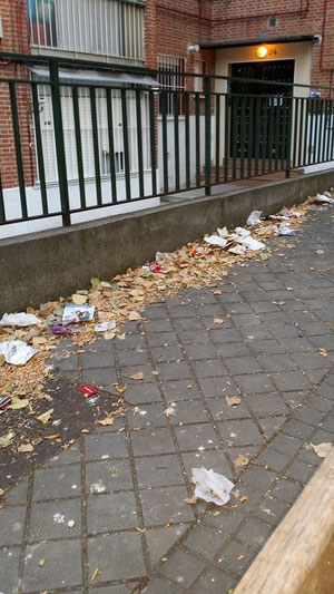 Suciedad en la calle Helena de Troya (Foto de Ana Tablado)