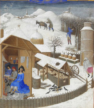 Dictée - Les TRÈS RICHES HEURES du DUC de BERRY - cm1