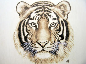 Tigre di Ilaria Andreucci