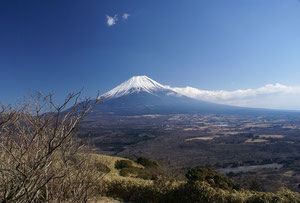 富士山と青木が原樹海