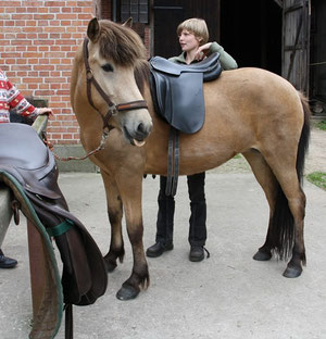 Sattelkontrolle