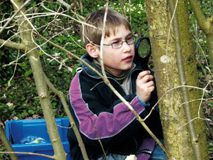 Beobachtungen im Schulwald