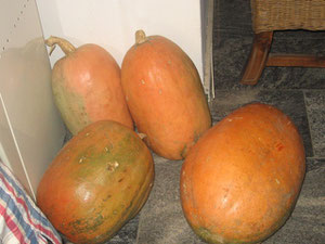 We saw real pumpkins (for the first time in Nigeria) on the road towards Abuja. Cindy made me turn around, but I was glad I did.