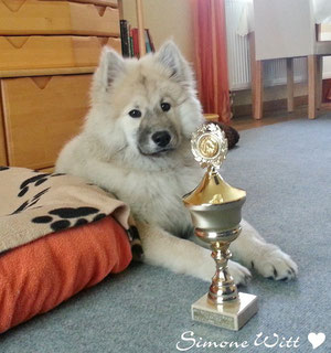 Basilea vom Schmetterlingsgarten Eurasier vom Bärenstern