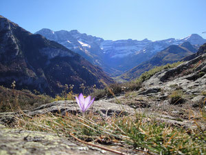 Le Cirque de Gavarnie vu du plateau de Saugué