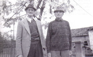 Vinko i Niko