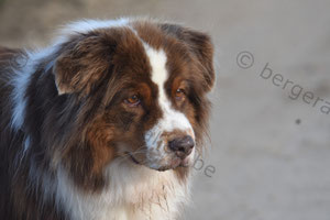 Emmy, 8 ans