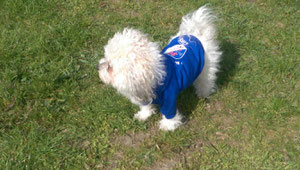 Amy mit neuem Klosterdorf-Hoody