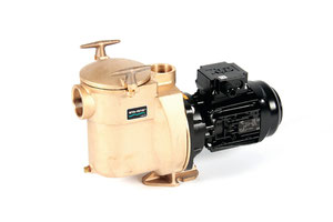 5 BR Bronzeschwimmbadpumpe