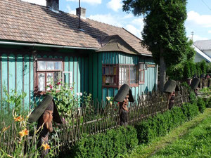 Maison avec clôture originale