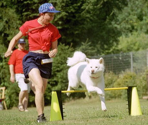 Turnierhundesport mit Bizen