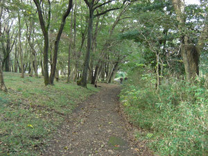 　　　　　　　　　　　　　　　旧大須賀家住宅付近