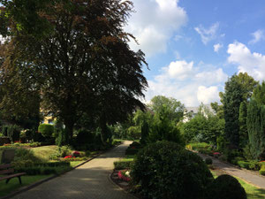 Der Friedhof am 16.07.2014