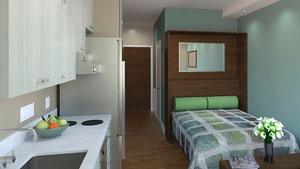 ネットに出ていたニューヨークのTiny apartment の写真