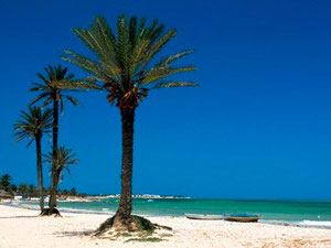 djerba island agencia de
